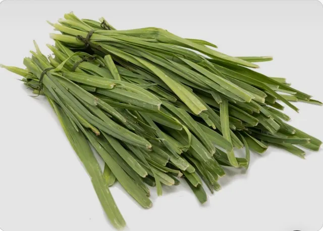 LEGUME LEAVES