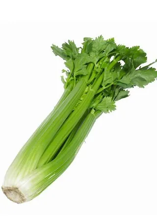 CELERY LEAVES 1 PACKET