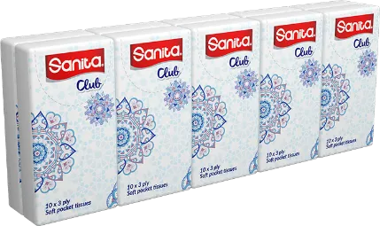 SANITA CHARM SOFT POCKET TISSUE 10X3PLY