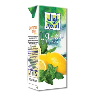 أوال عصير ليمون ونعناع 200 مل