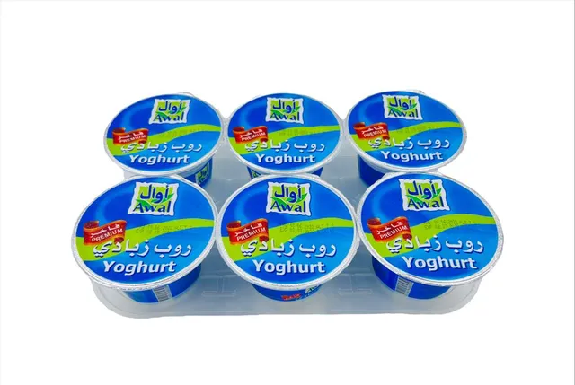 AWAL YOGHURT 6 x 160 GM