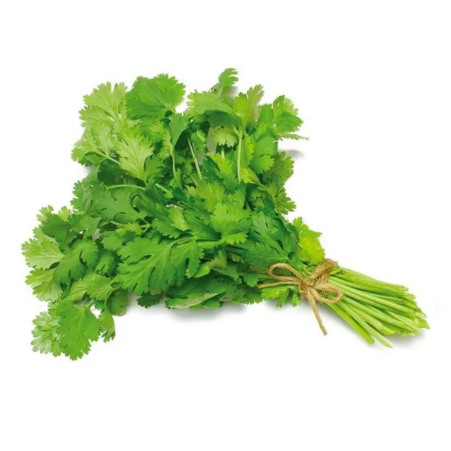 CORIANDER LEAVES