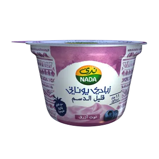 NADA GREEK YOGHURT RED FRUITS WITH CHIA SEEDS 160GM