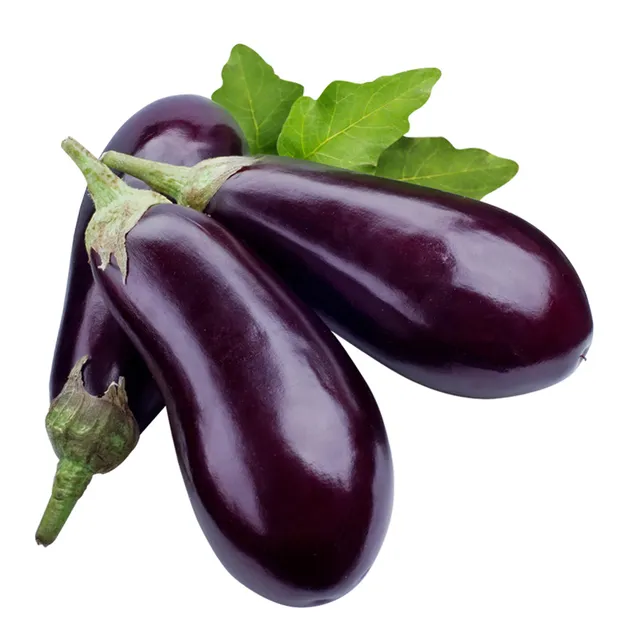 EGG PLANT