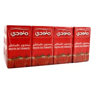 ملودي معجون طماطم 8*135 جم