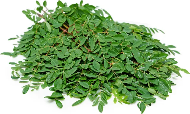 MORINGA LEAVES