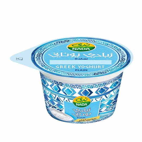 NADA PLAIN GREEK YOGHURT 160GM