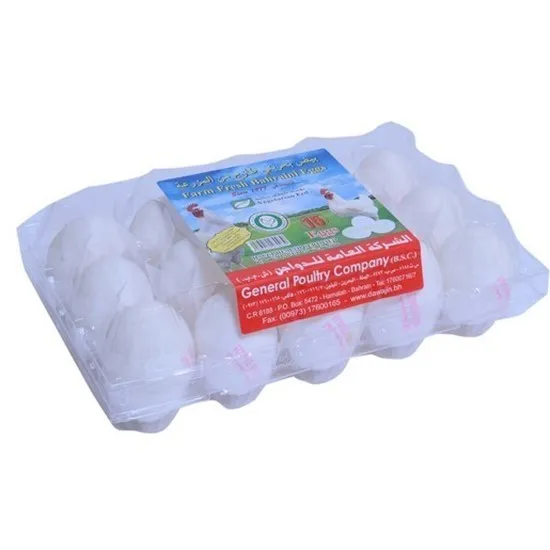FARM FRESH BAHRAINI EGGS 15PCS