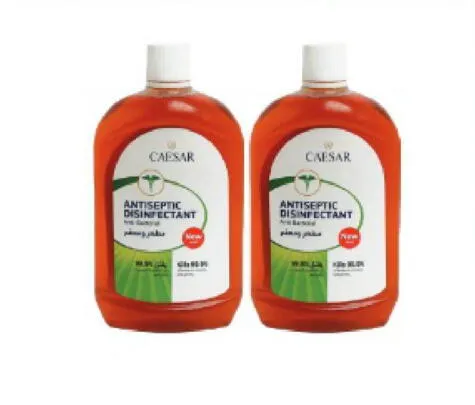 CAESAR ANTISEPTIC DISINFECTANT 2X500ML
