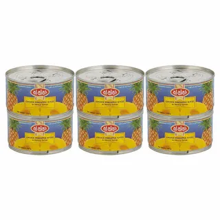 ALALALI CHOICE PINEAPPLE SLICES 6x234GR