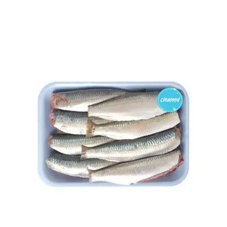 Sardine Cleaned