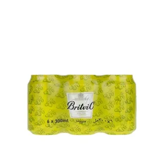 Britvic Ginger Ale 300ml