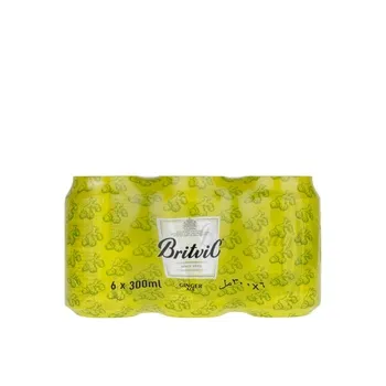 Britvic Ginger Ale 300ml