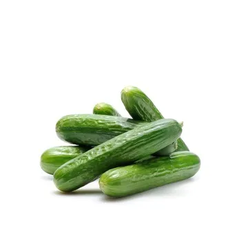 Goodness Foods Cucumber 1kg