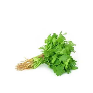 Coriander ≈ 100g