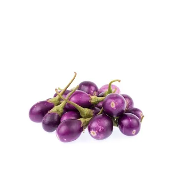 Eggplant Small Oman