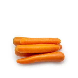 Carrot China