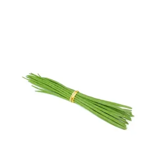 Drumstick India