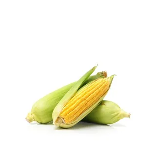 ذرة حلوة محلية