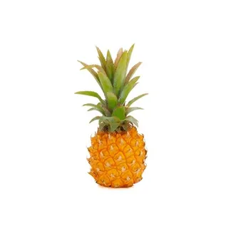Baby Pineapple