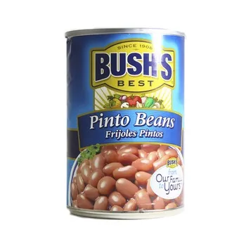 Bushs Pinto Beans 454g