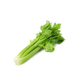 Celery Australia