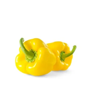 Capsicum Yellow Holland