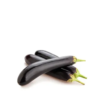 Eggplant Long