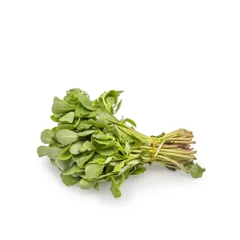 Kulfa Leaves Local