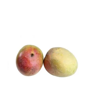 Mango Australia