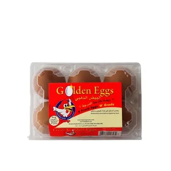 Al Jazira Eggs Box Brown 6pcs