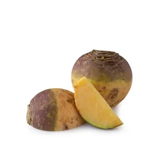 سويد هولندا