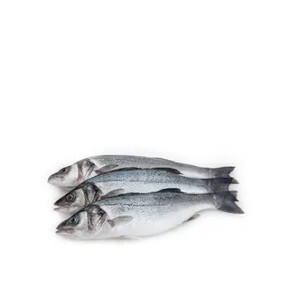 Organic Seabass