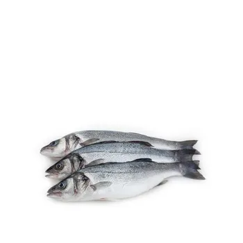 Organic Seabass