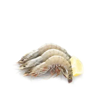 Shrimps 30/40