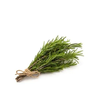 Rosemary Fresh Kenya ≈ 20g