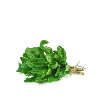 Mint Leaves ≈ 100g