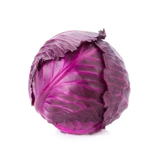 Cabbage Red Iran