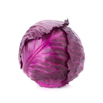 Cabbage Red Iran