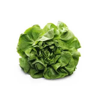 Live Lettuce 180g ≈ 200g(Boston) UAE