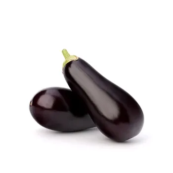 Eggplant Holland