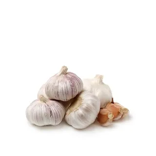 Garlic China