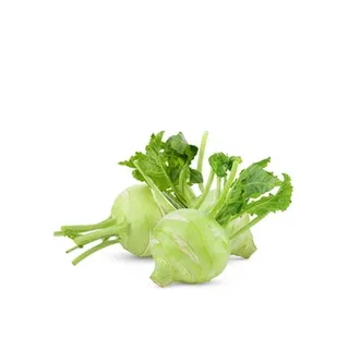 Kohlrabi Holland