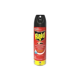 Raid Crawling Insect Killer 300ml