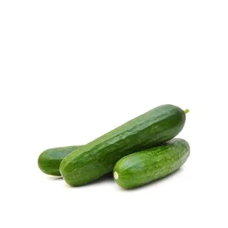 Cucumber Holland