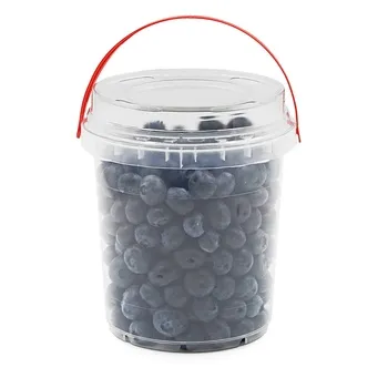 Blueberry ≈ 500g South Africa