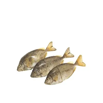 Safi - Fresh Fish