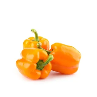 Capsicum Orange Holland