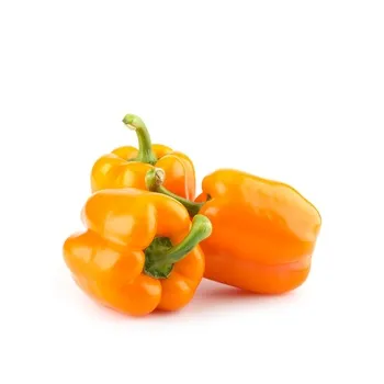 Capsicum Orange Holland