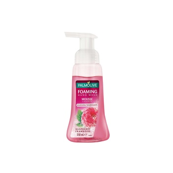 Palmolive Liquid Hand Soap Foam Pump Raspberry Liquid Hand Wash 250ml Pack of 1